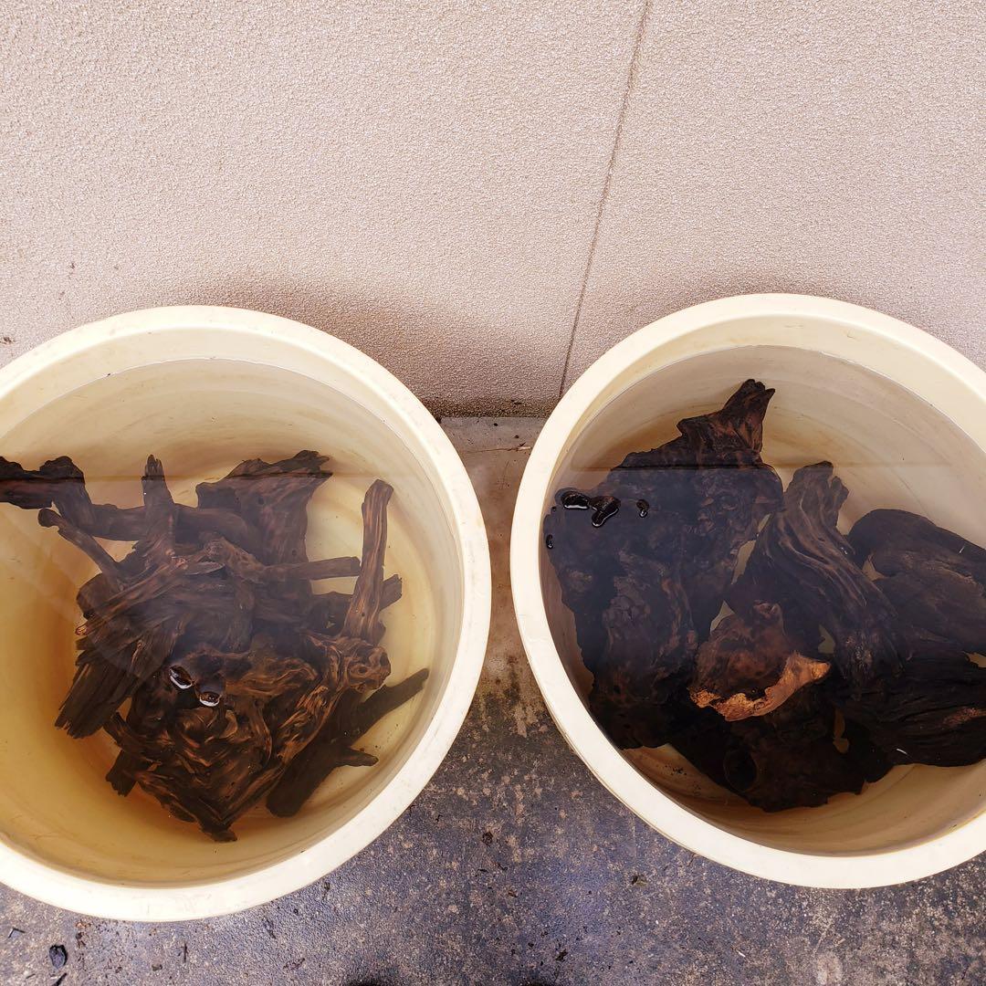 天然流木335 アク抜き処理済み　沈水処理済み　ビオトープ　水槽レイアウト