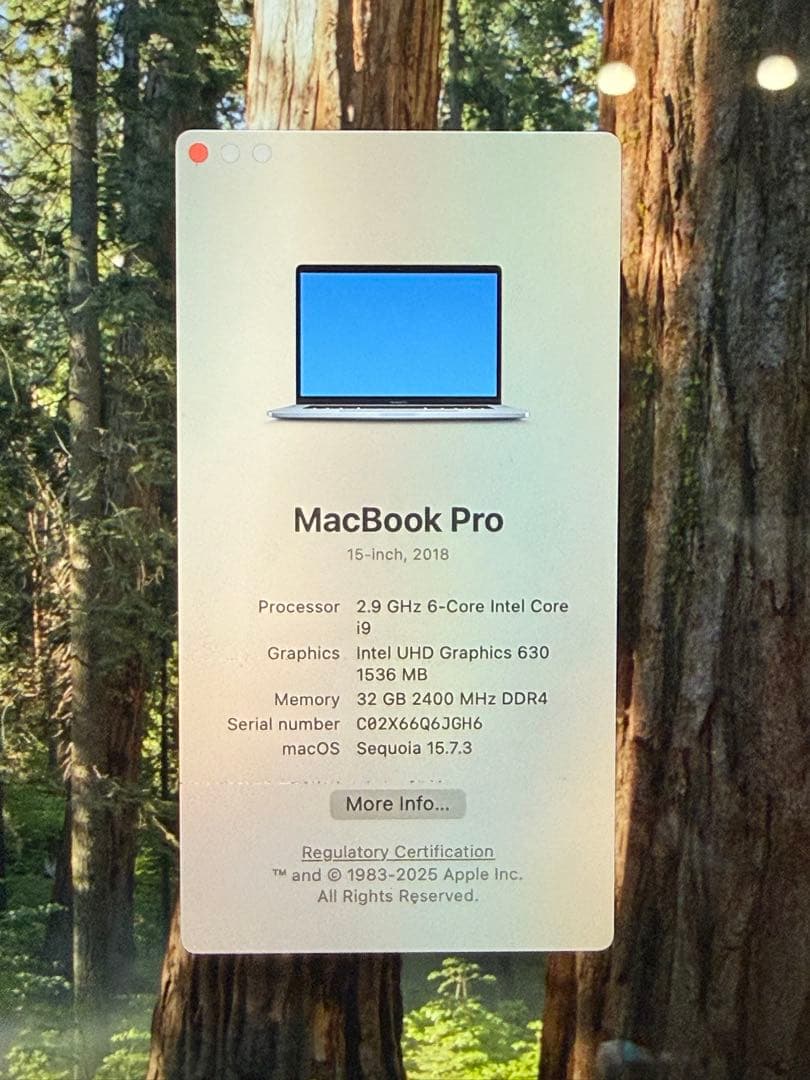 MacBook本体 MacBook Pro 15 2018 i9 32GB 2TB 560X