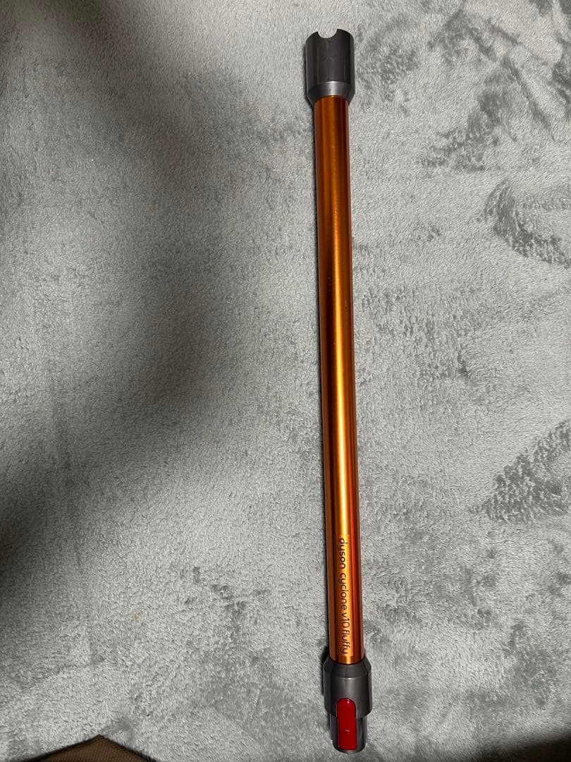 月に負けた犬　Dyson cyclone v10 fluffy 本体
