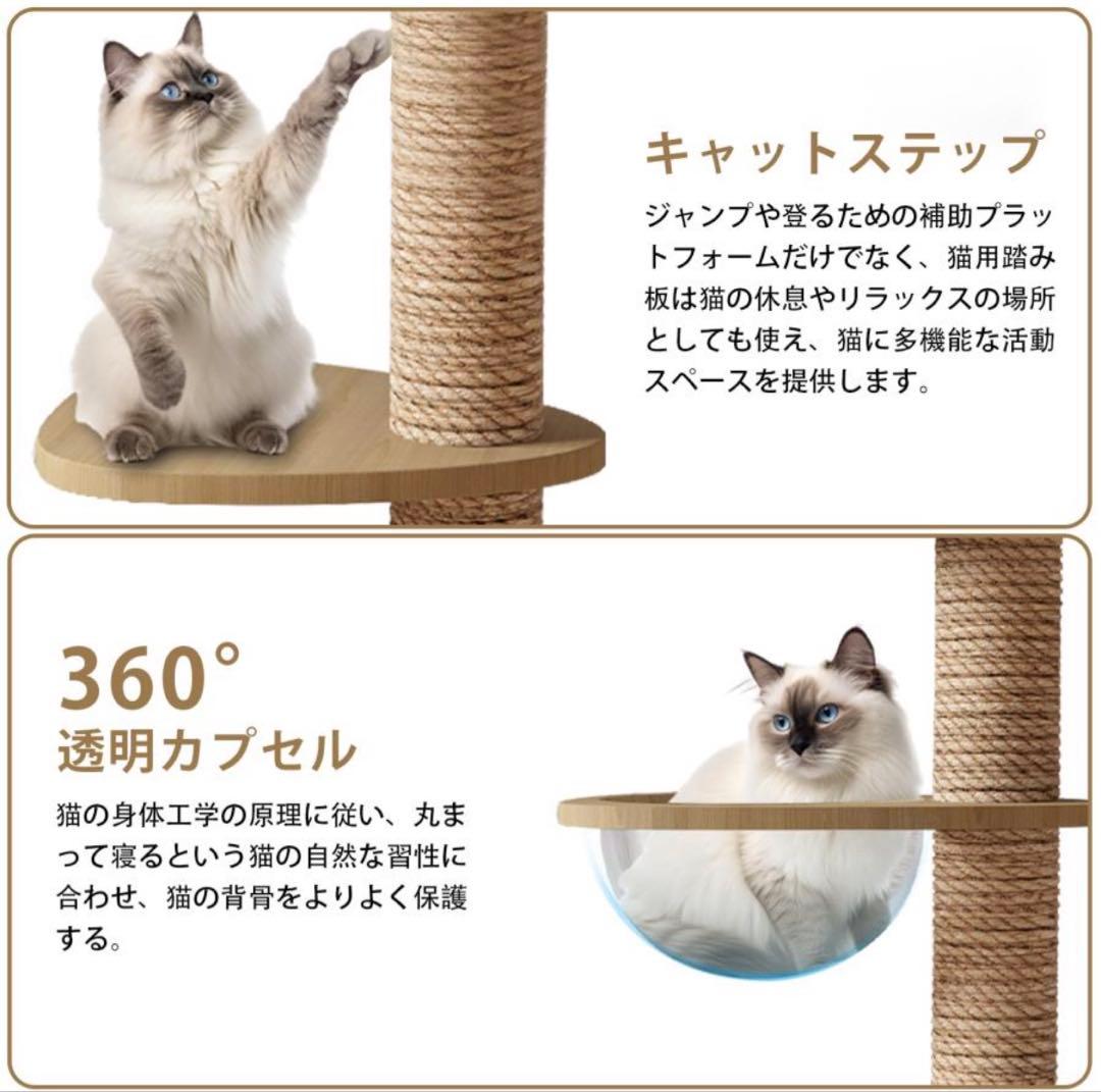 突っ張り式キャットタワー 木製 大型猫対応 高さ調整可能 235〜260cm