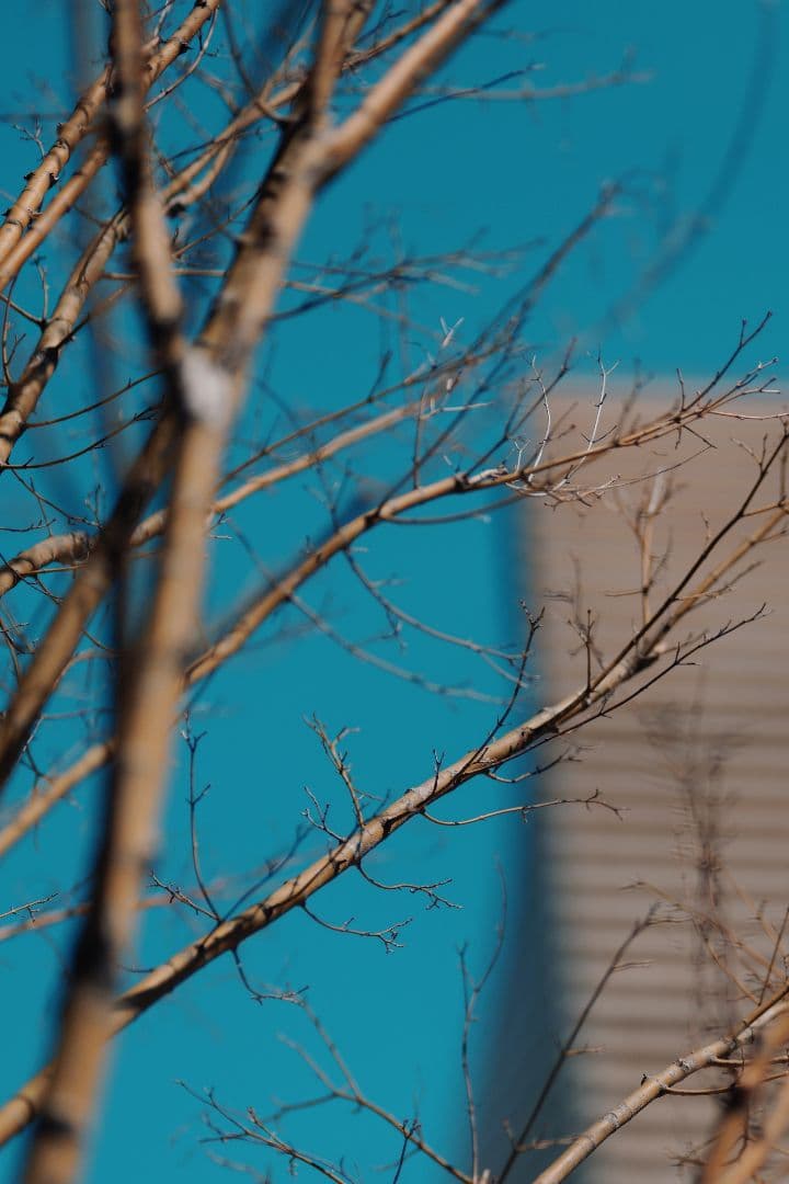 Lマウント Meike 85mm F1.8 FF STM シグマ ライカ