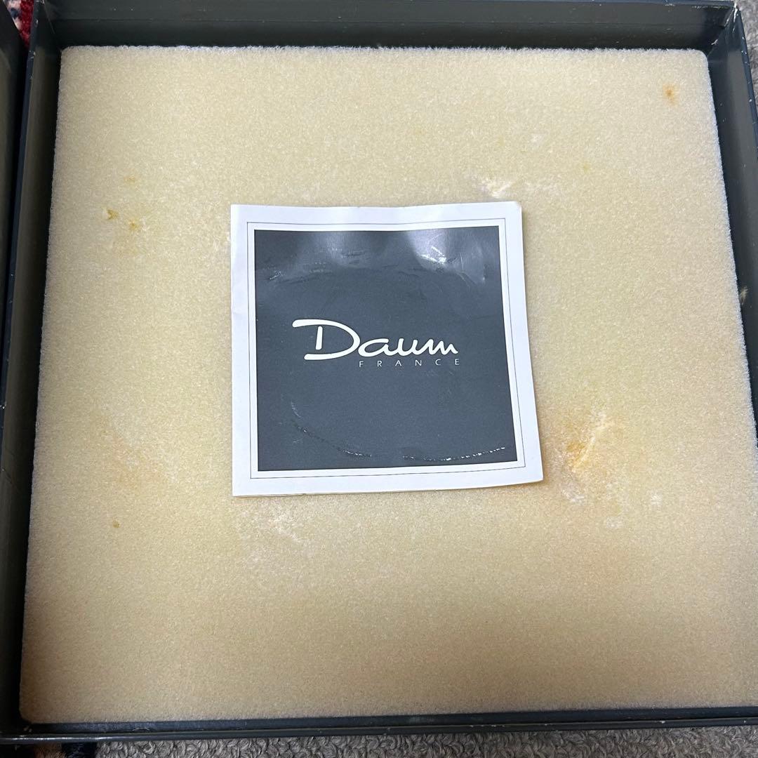 Daum FRANCE トンボのトレーガラス製