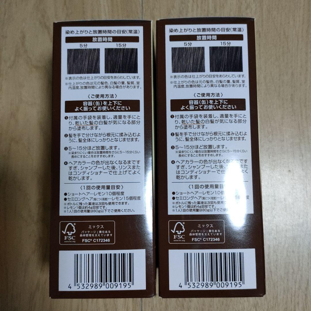 エクラ ボタニカルエアカラーフォーム ダークブラウン80g(２本セット)※新品