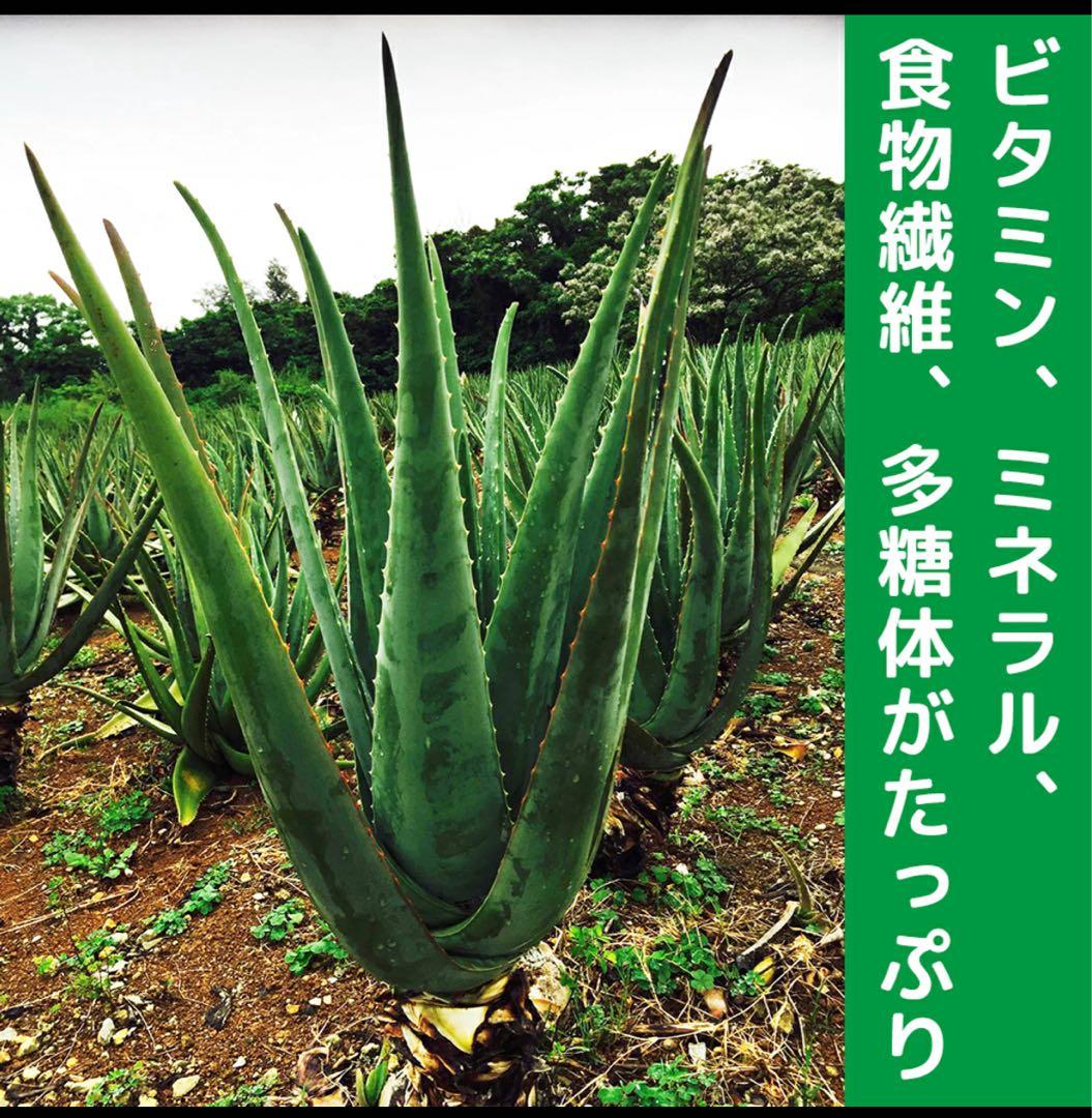 JAS認定 有機無農薬）アロエベラジュース１００％ 1000mlx３本 沖縄産