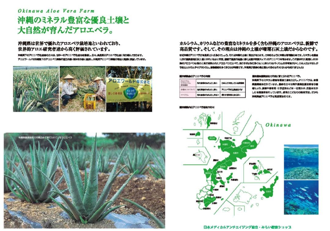 JAS認定 有機無農薬）アロエベラジュース１００％ 1000mlx３本 沖縄産