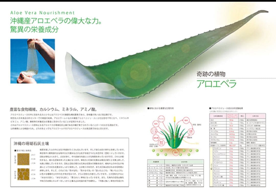 JAS認定 有機無農薬）アロエベラジュース１００％ 1000mlx３本 沖縄産