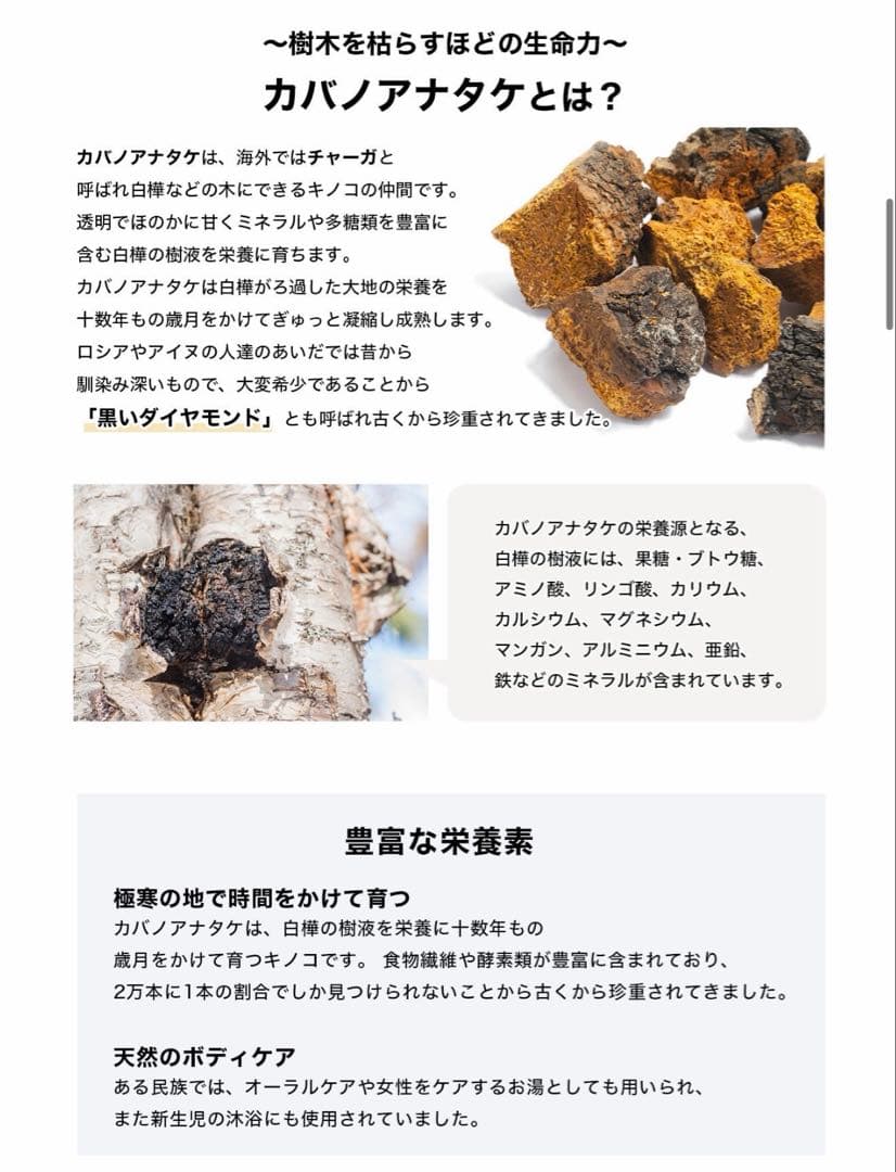 ① カバノアナタケ茶 1箱30包 チャーガ