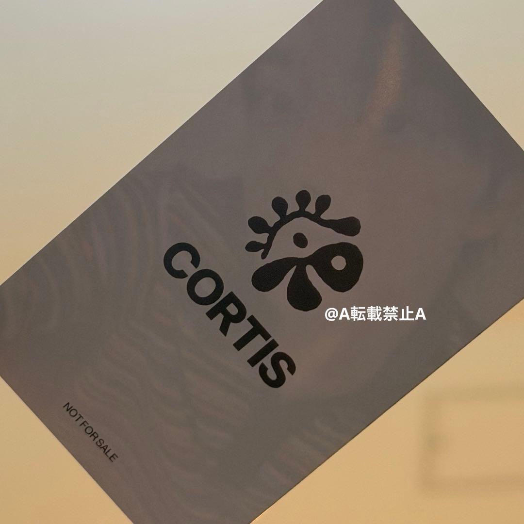 CORTIS TSUTAYA KEONHO ゴンホ ゴノ トレカ