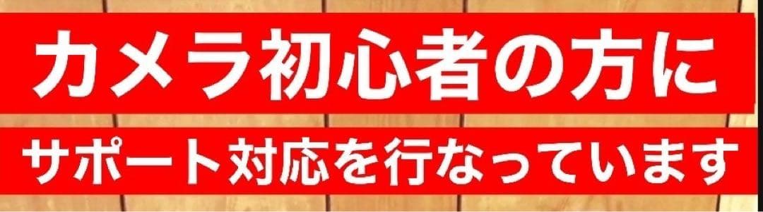 お早めに！Nikon Zに対応！ミラーレス用望遠レンズ！カメラ初心者サポート付き
