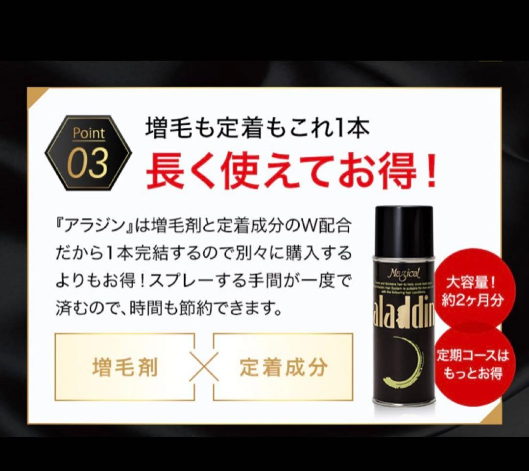 薄毛ハゲ隠しヘアスプレーaladin 200g 3本セット