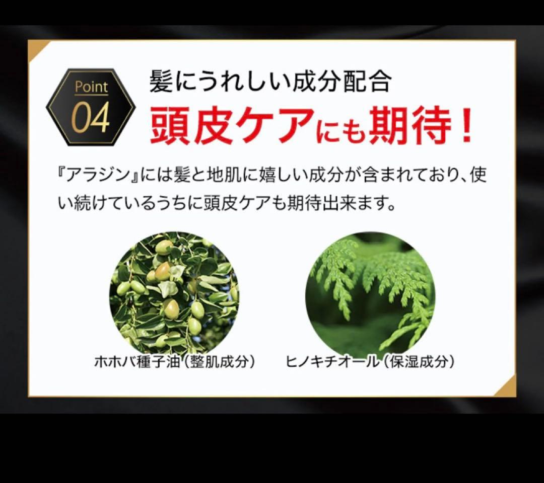 薄毛ハゲ隠しヘアスプレーaladin 200g 3本セット