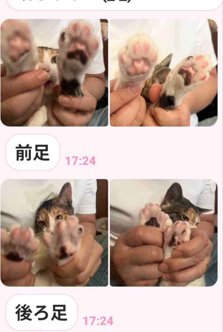 L☆B☆C