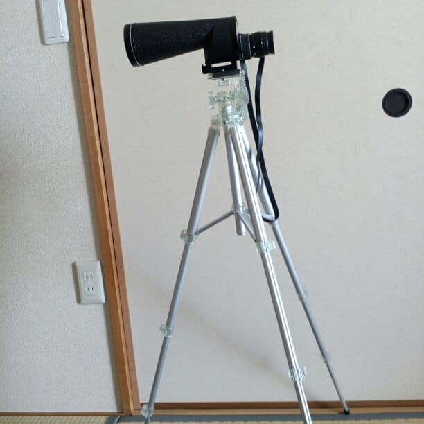 ナイトズーム