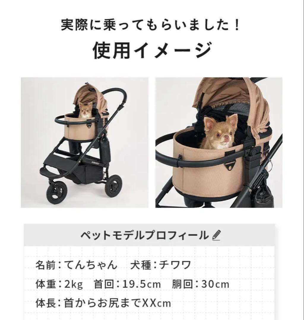 参考画像　サイズ比較