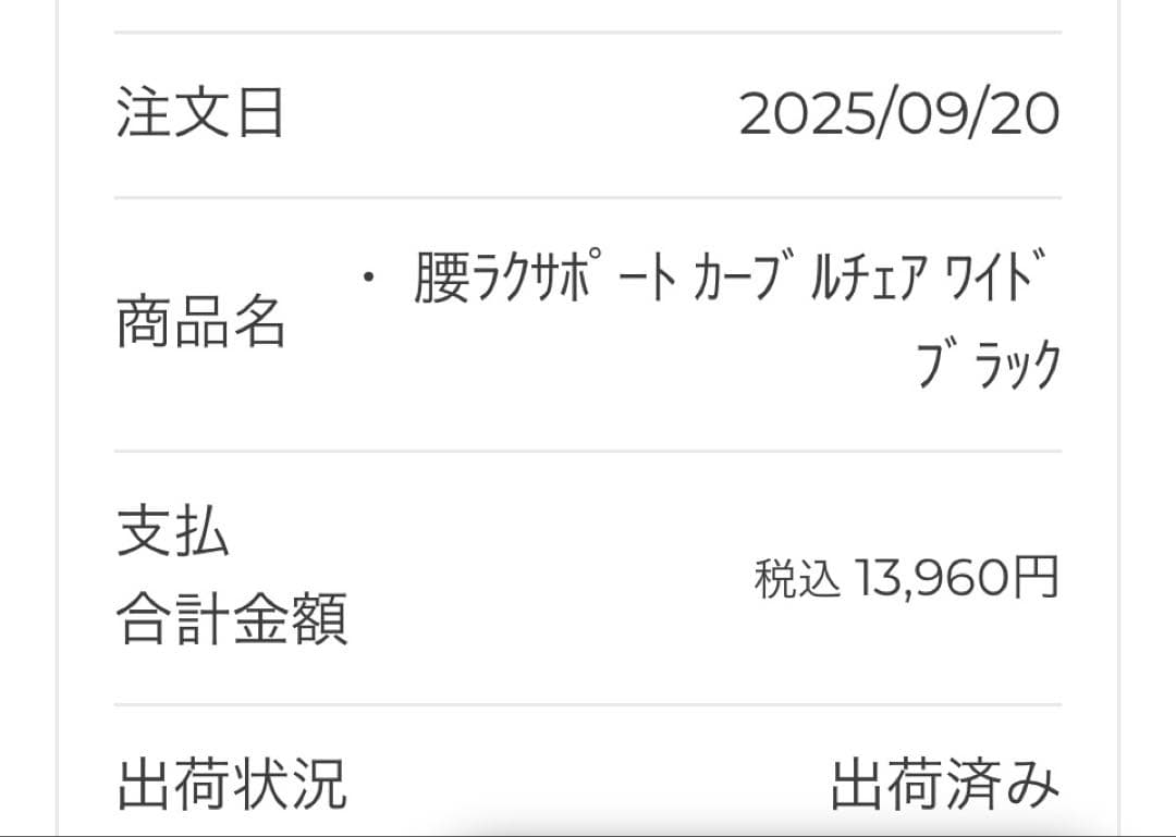 カーブルチェア　ブラック2個セット　美品