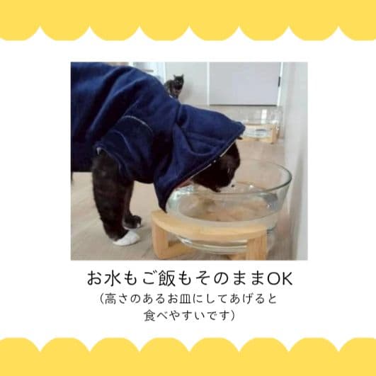 ネッカーフリーウェア パンジー柄 猫 保護服 食物アレルギー