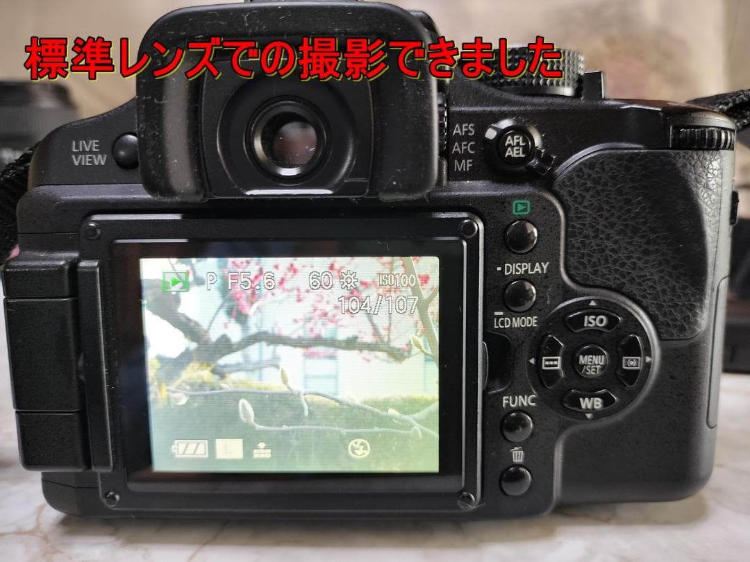 希少な日本製！LUMIX DMC-L10 ダブルズームセット【豪華おまけ多数】