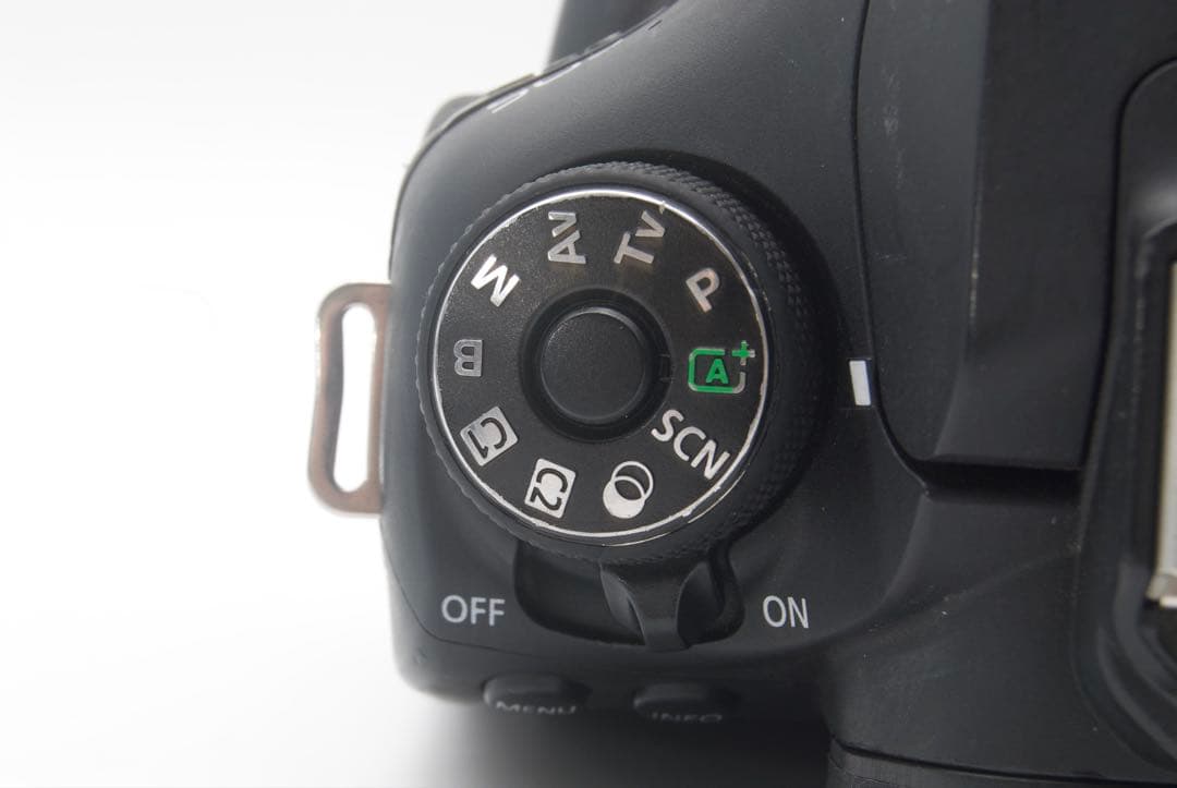 Canon EOS 90D 高速連写　高画質　デジタル一眼レフ 4K動画対応
