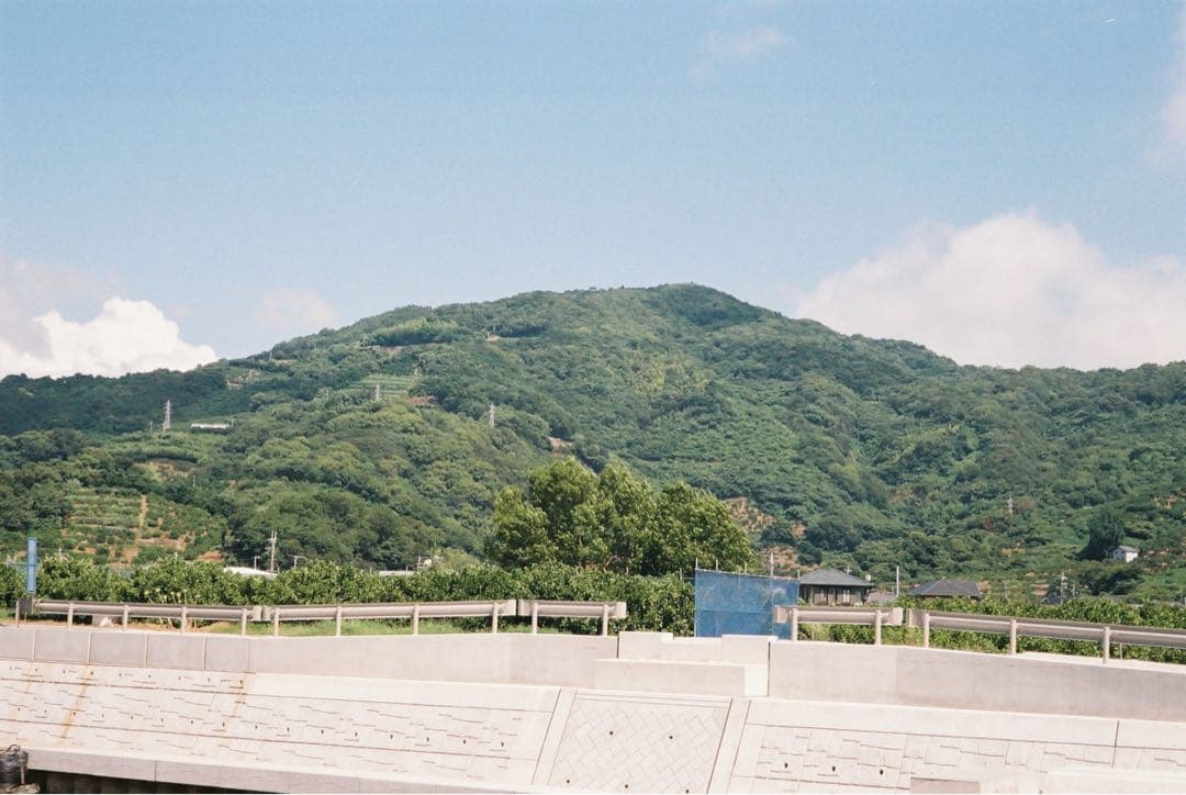s*様 CONTAX TVS Ⅱ コンタックス tvs 2