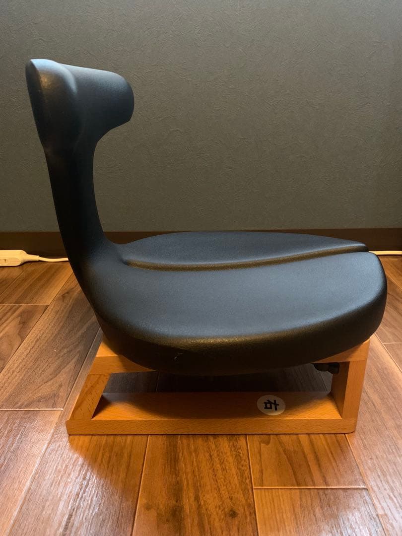ayur chair medical seat アーユルチェア　座椅子