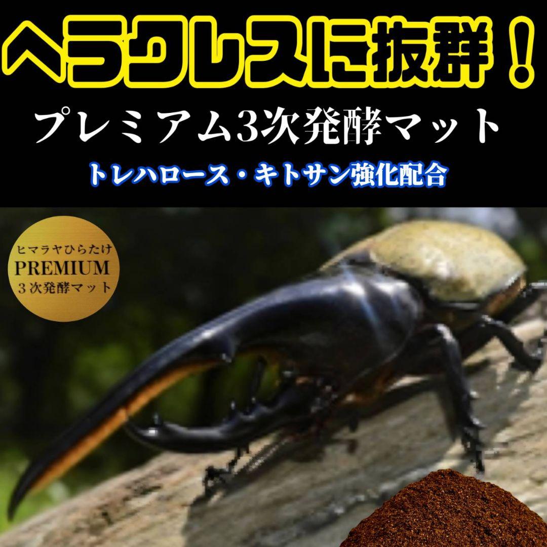 プレミアム3次発酵カブトムシマット　100リットル　ヘラクレス181ミリ羽化実績