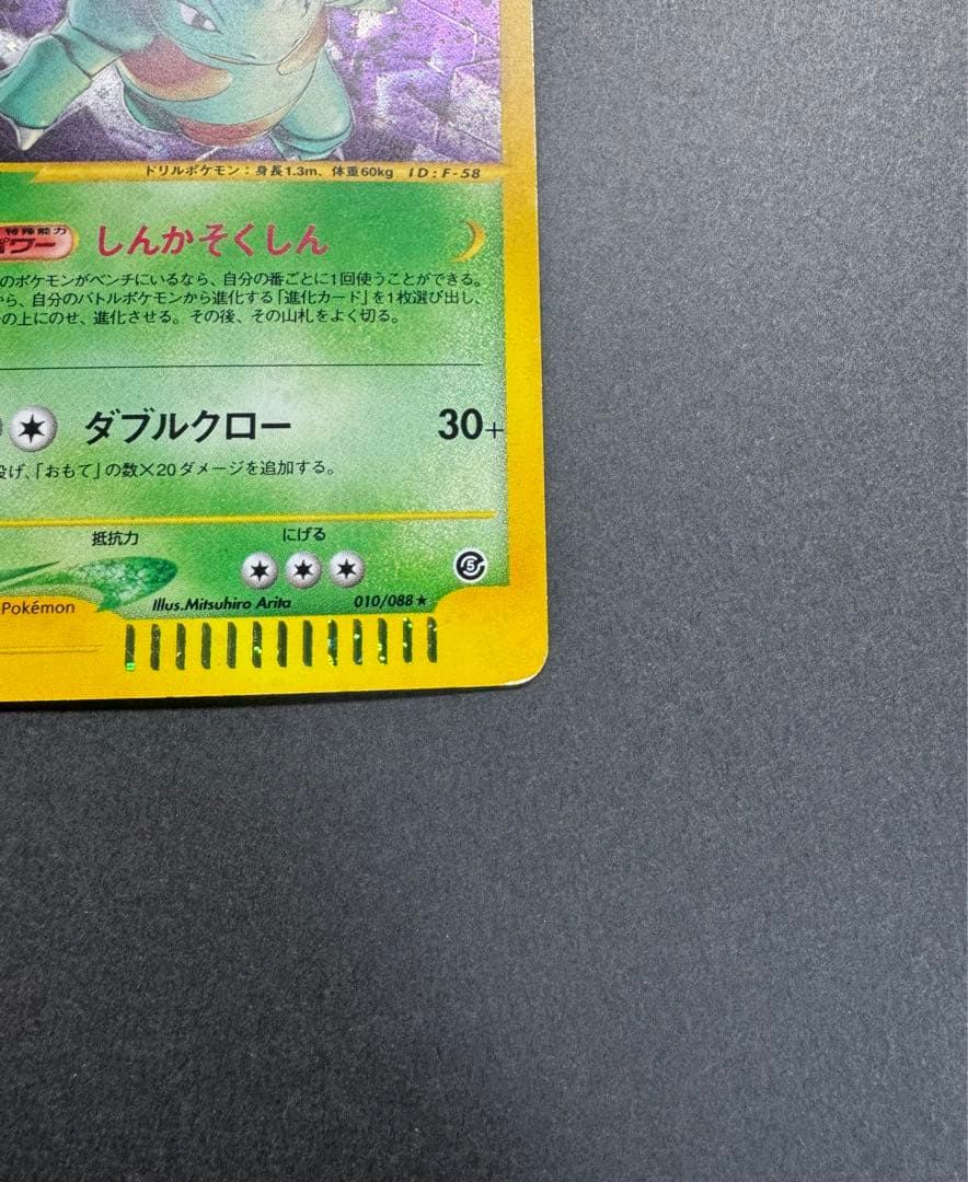 ポケモンカード　ニドクイン 010/088 eカード　渦巻きホロ