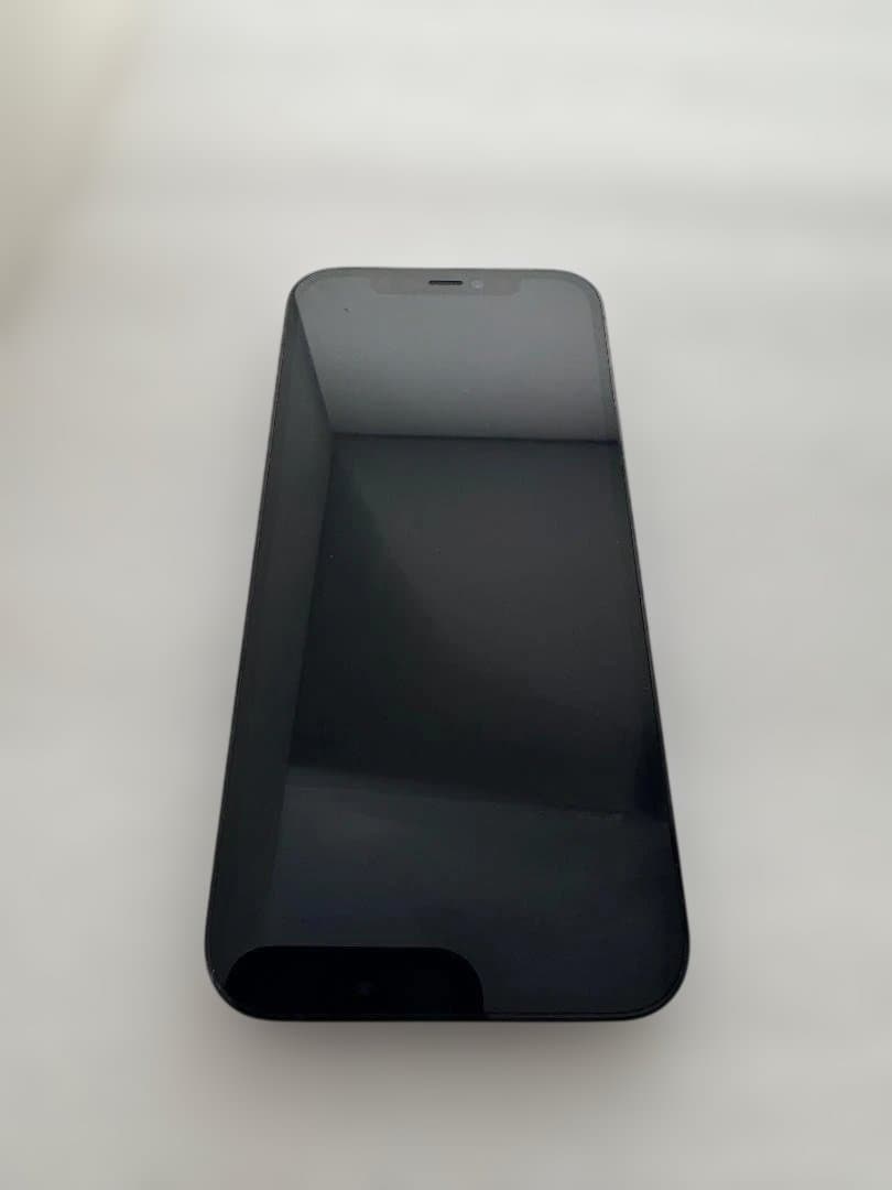 【即発送】256GB iPhone12Pro SIMフリー パシフィックブルー