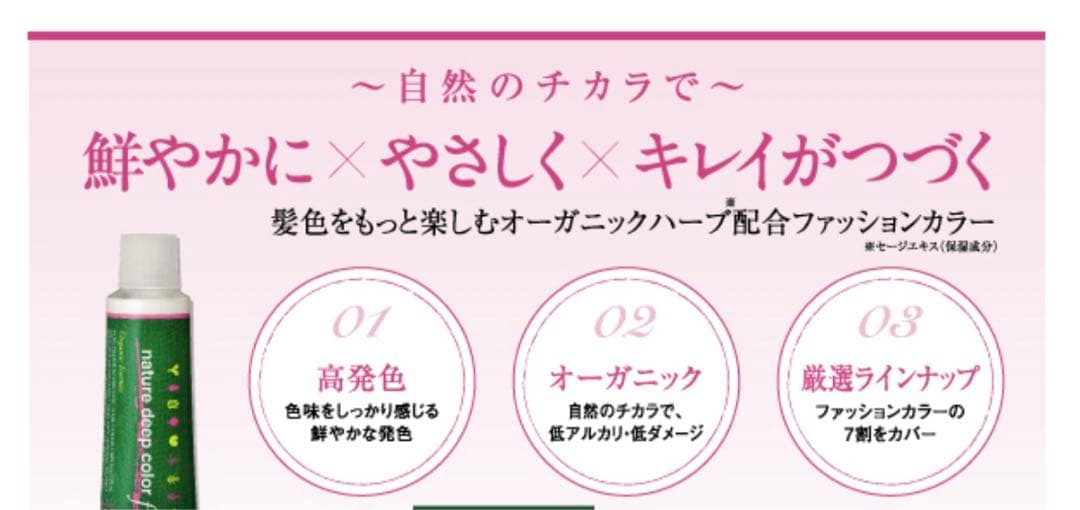 新品未使用【ネーチャーディープカラー f】120g 10本set