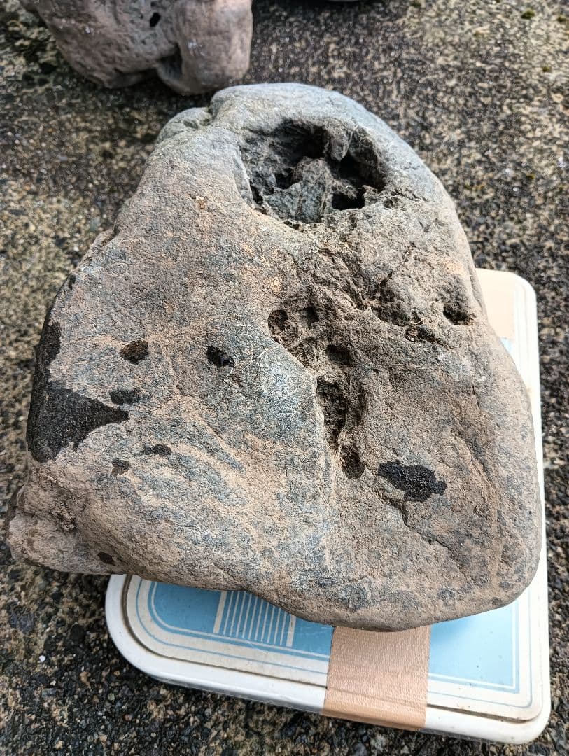 八海石 18.5kg 新潟県三大奇石