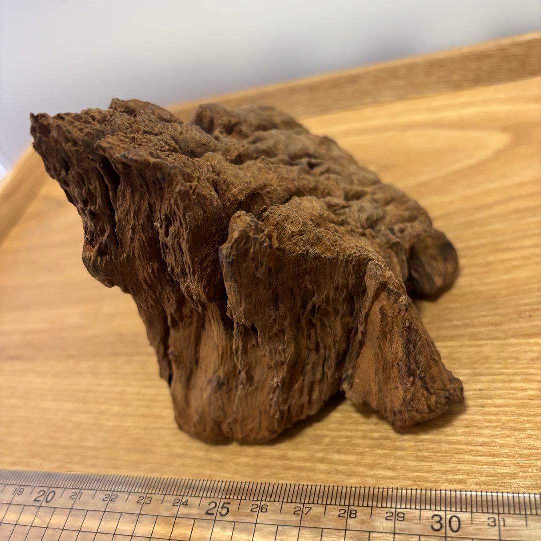 古代天然香木　沈香原木261.8g 茶道具タニシャム沈香伽羅聞香 香道具ベトナム