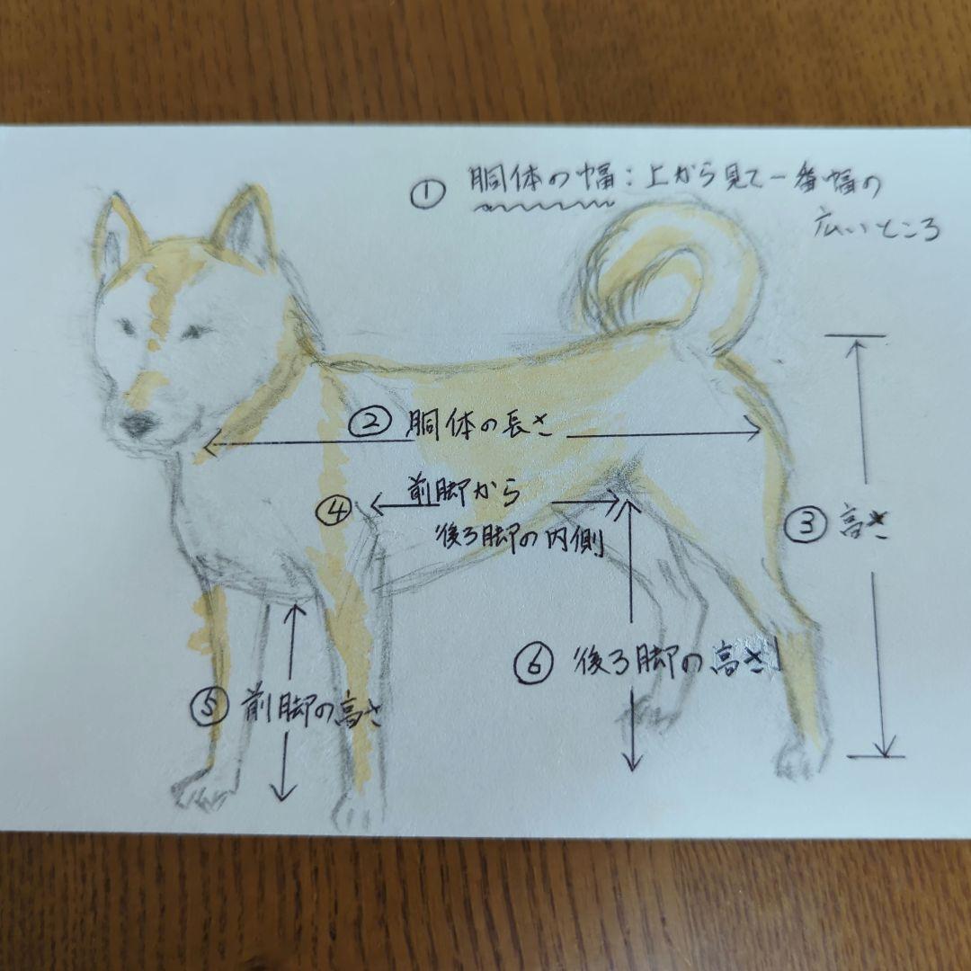 柴犬用 犬用車いす 、介護用品