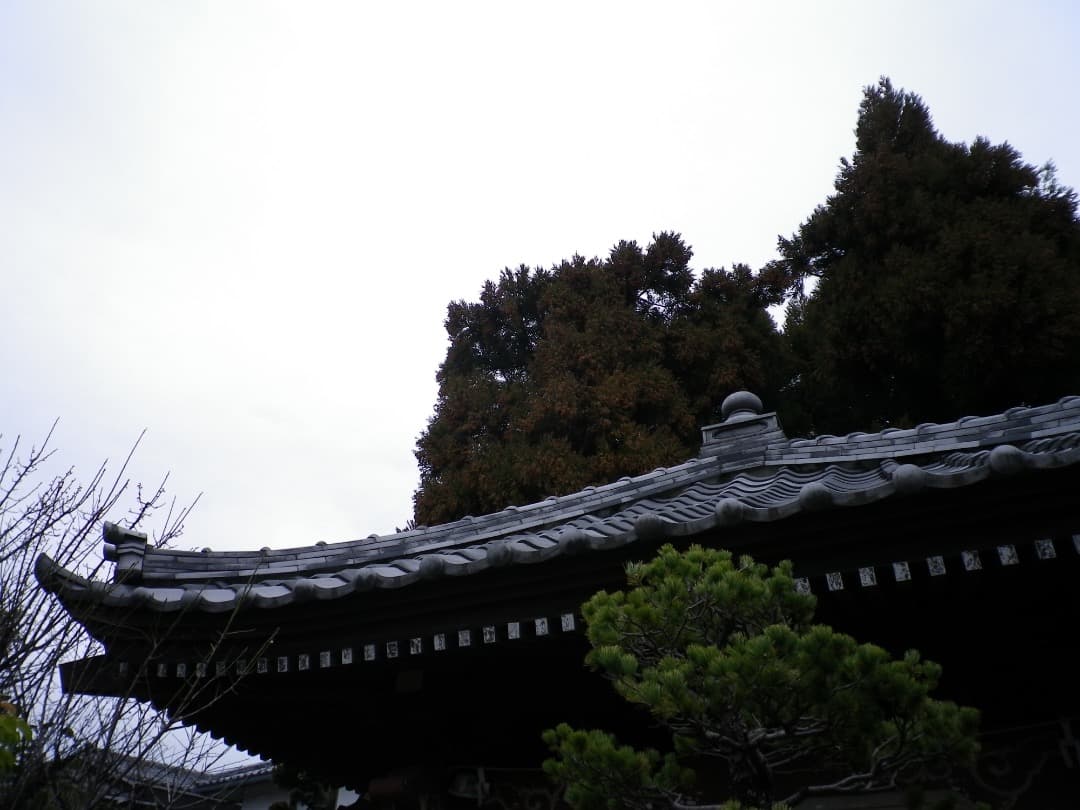 実写美⭕️訳あり【動作確認済】PENTAX OPTIO H90 コンデジ