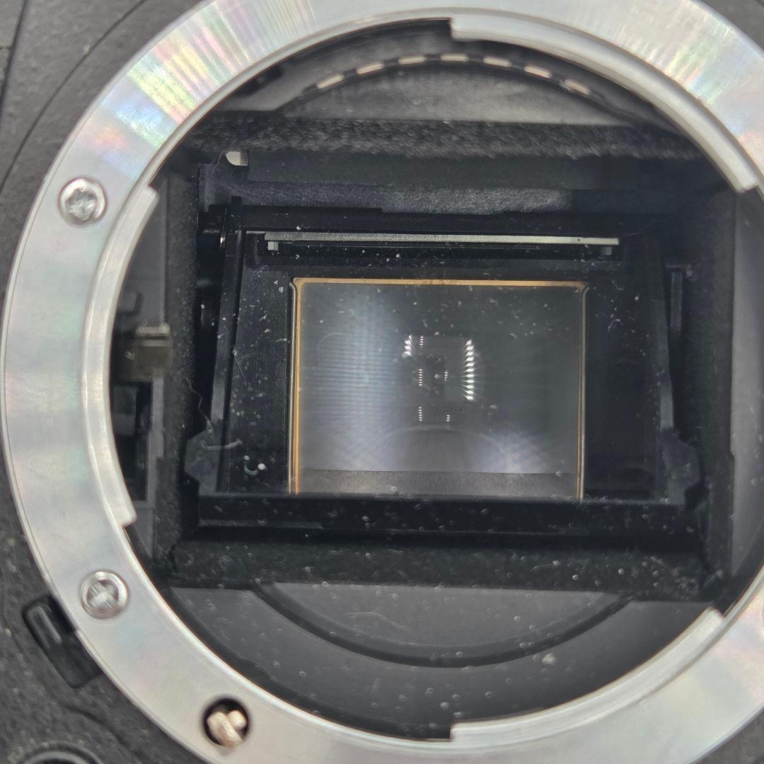 【良品】Nikon D70 デジタル一眼レフカメラ