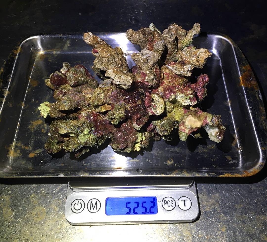 ライブロック　約4.5kg