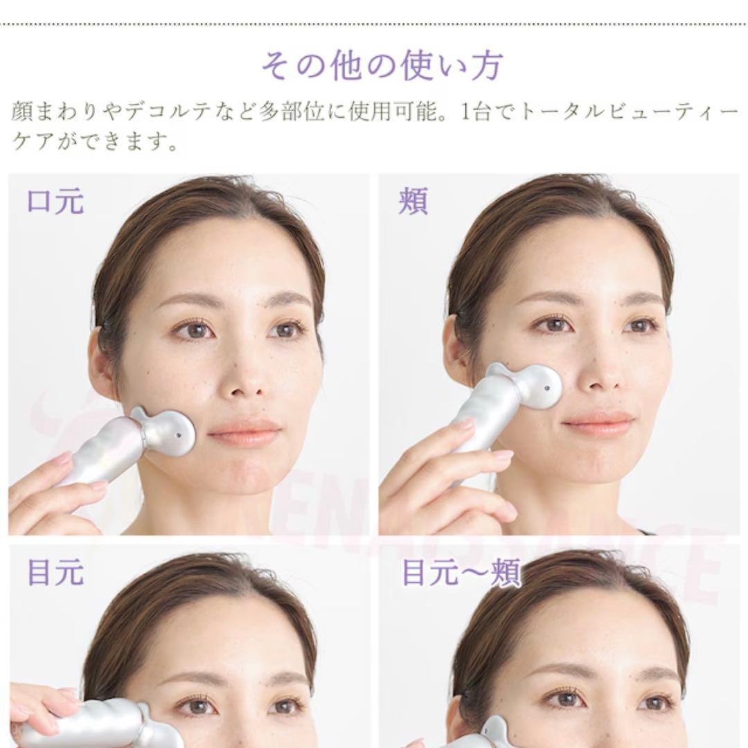 スタイリーフェイス　家庭用運動器具 EMS スポーツクラブ ルネサンス開発