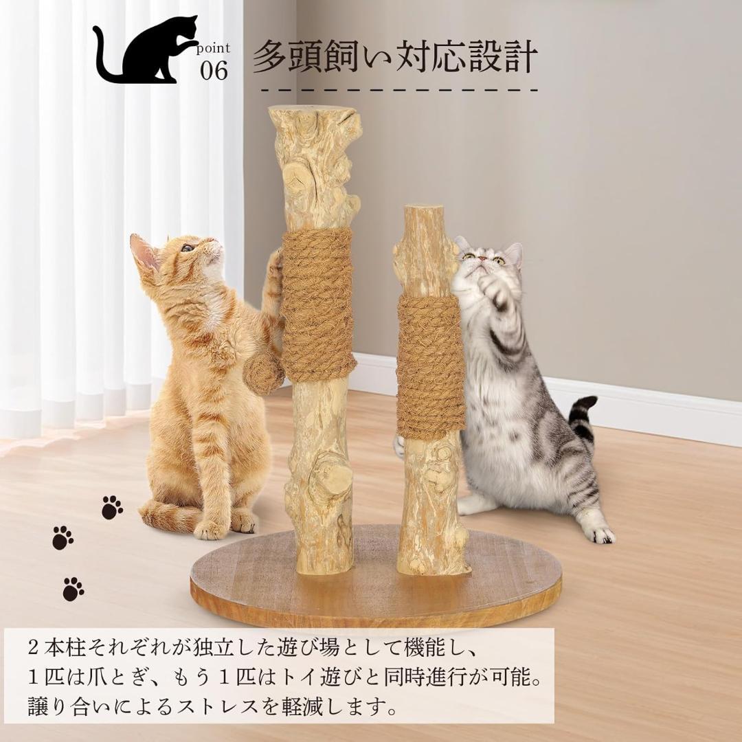 ハリーバーカー 天然コーヒー木使用 キャットポール 40×40×52cm