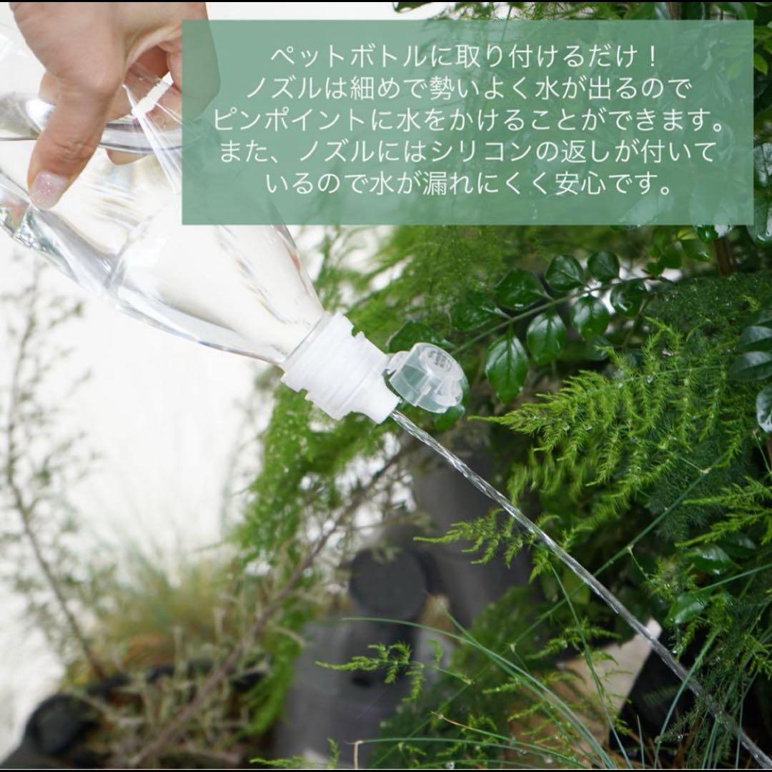 マンダリンブラザーズスリーピンクバック