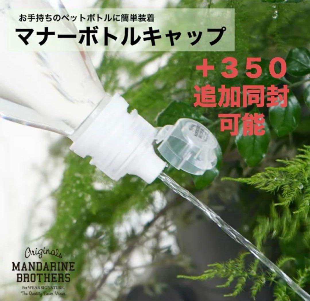 マンダリンブラザーズスリーピンクバック