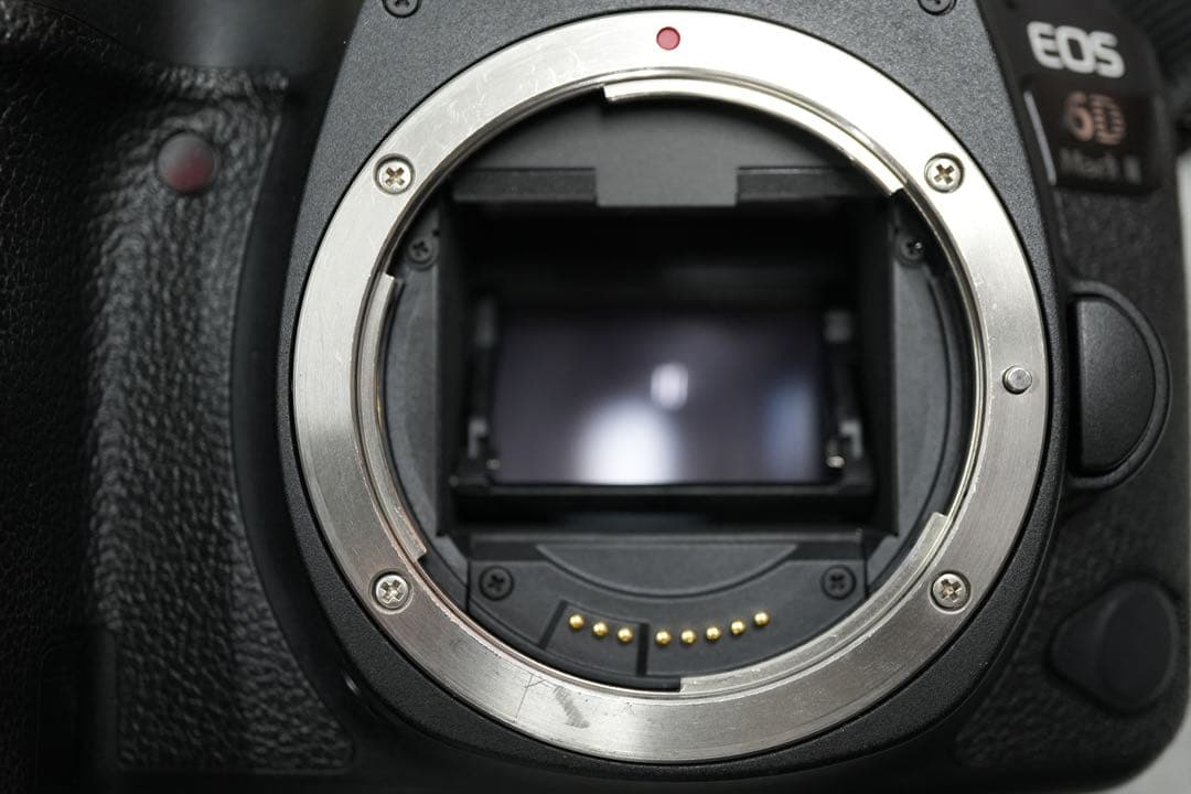 EOS 6D Mark II レンズEF24-105mm F3.5-5.6 IS