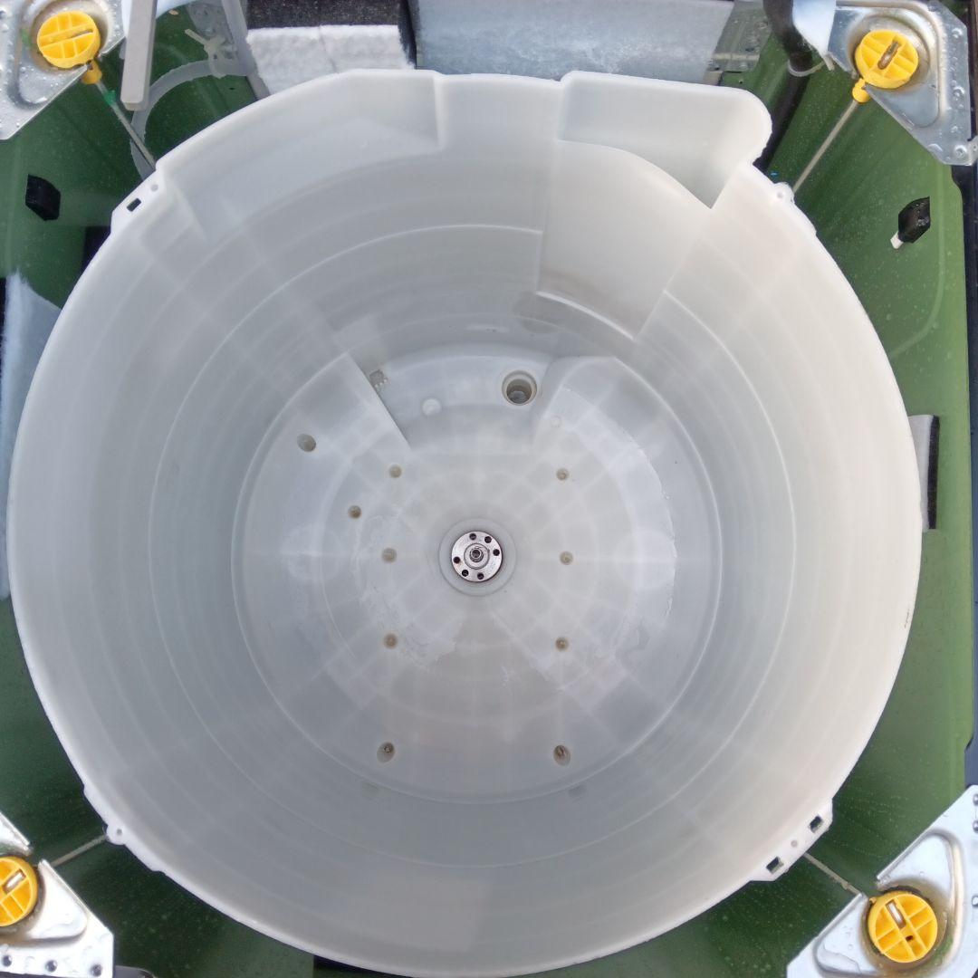 ハイセンス 全自動洗濯機 5.5kg HW-G55E2K 2024年製