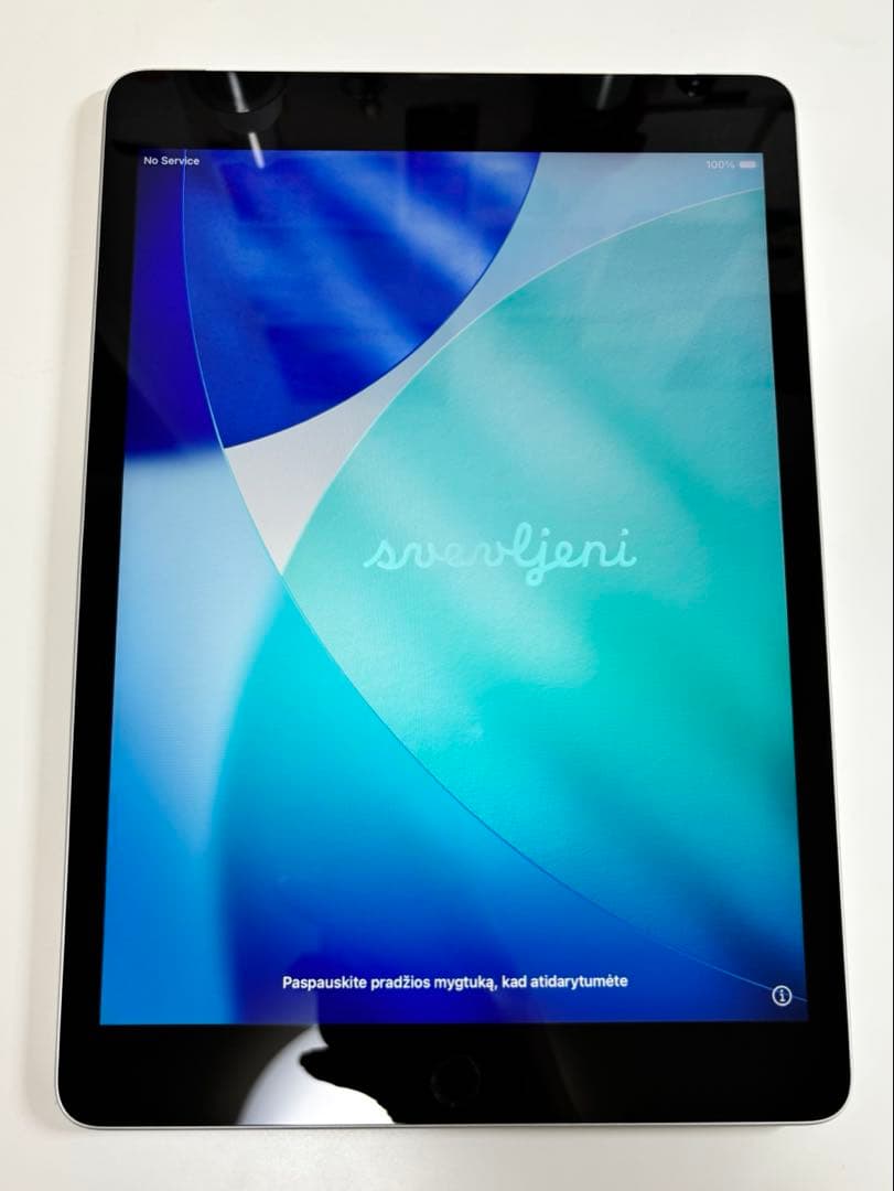 Apple iPad 第9世代64GB Wi-Fiモデル シルバー本体