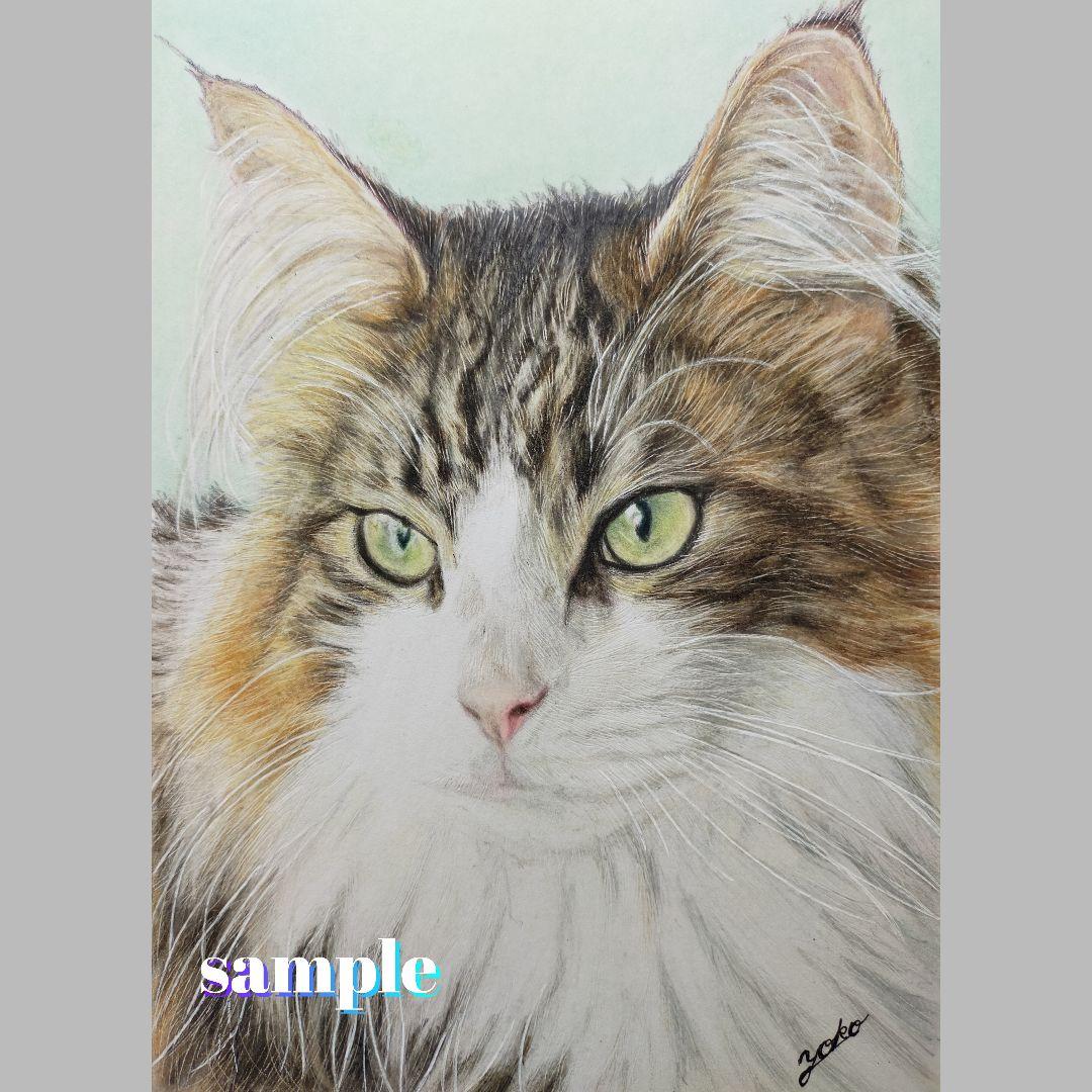 色鉛筆画✭愛猫愛犬✭ペット似顔絵　肖像画　イラスト　注文オーダー　受付ページ 2