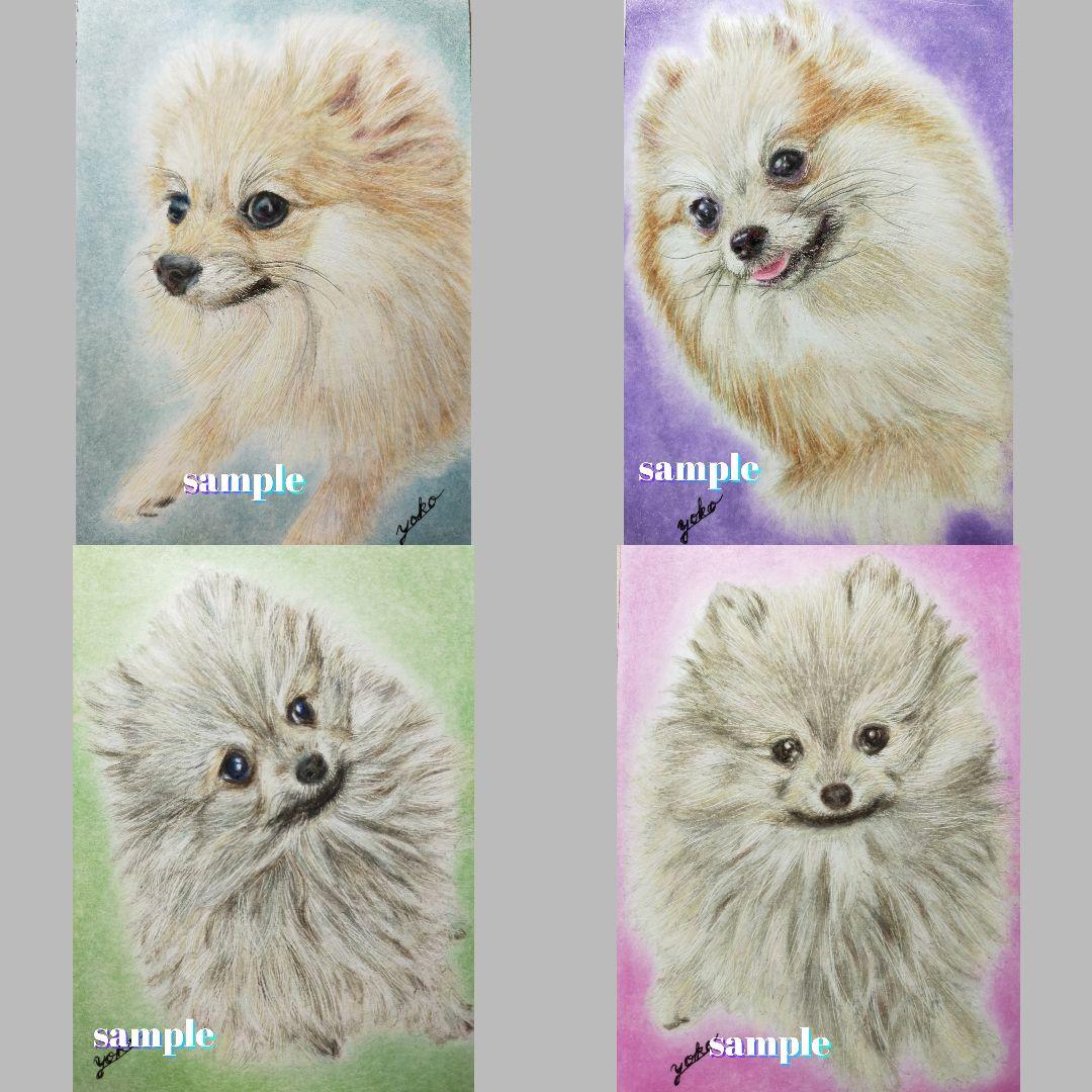 色鉛筆画✭愛猫愛犬✭ペット似顔絵　肖像画　イラスト　注文オーダー　受付ページ 2