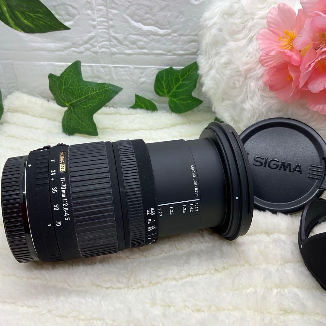 美品 SIGMA DC 17-70mm 1:2.8-4.5 Canonキャノン用
