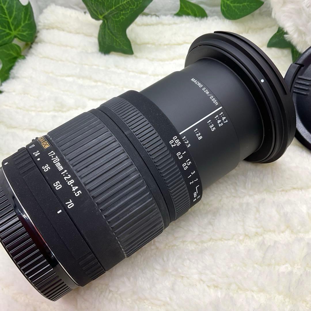 美品 SIGMA DC 17-70mm 1:2.8-4.5 Canonキャノン用