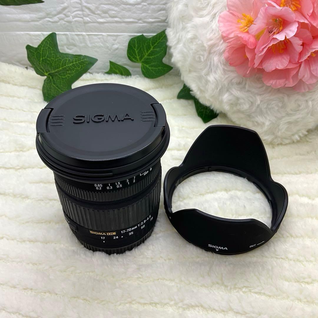 美品 SIGMA DC 17-70mm 1:2.8-4.5 Canonキャノン用