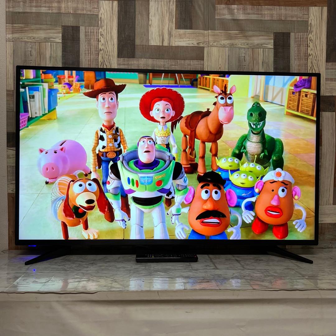 ぷーさん専用全国送料込ティーズネットワーク55型4K液晶テレビWチューナー高画質