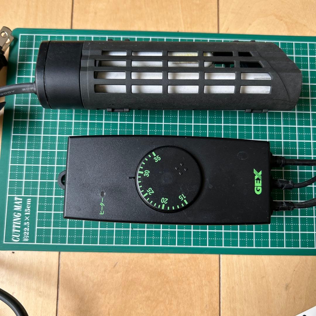 小型プレコ飼育セット