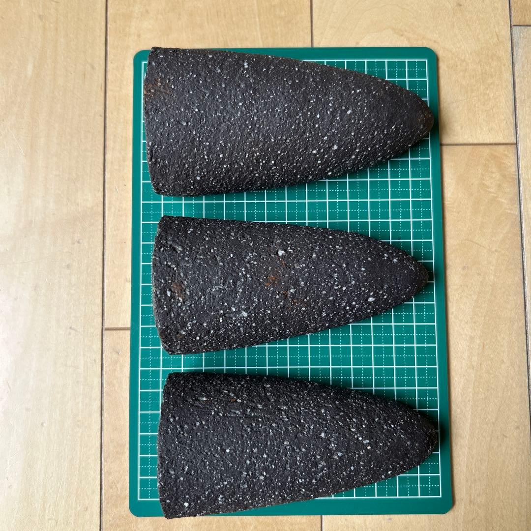 小型プレコ飼育セット