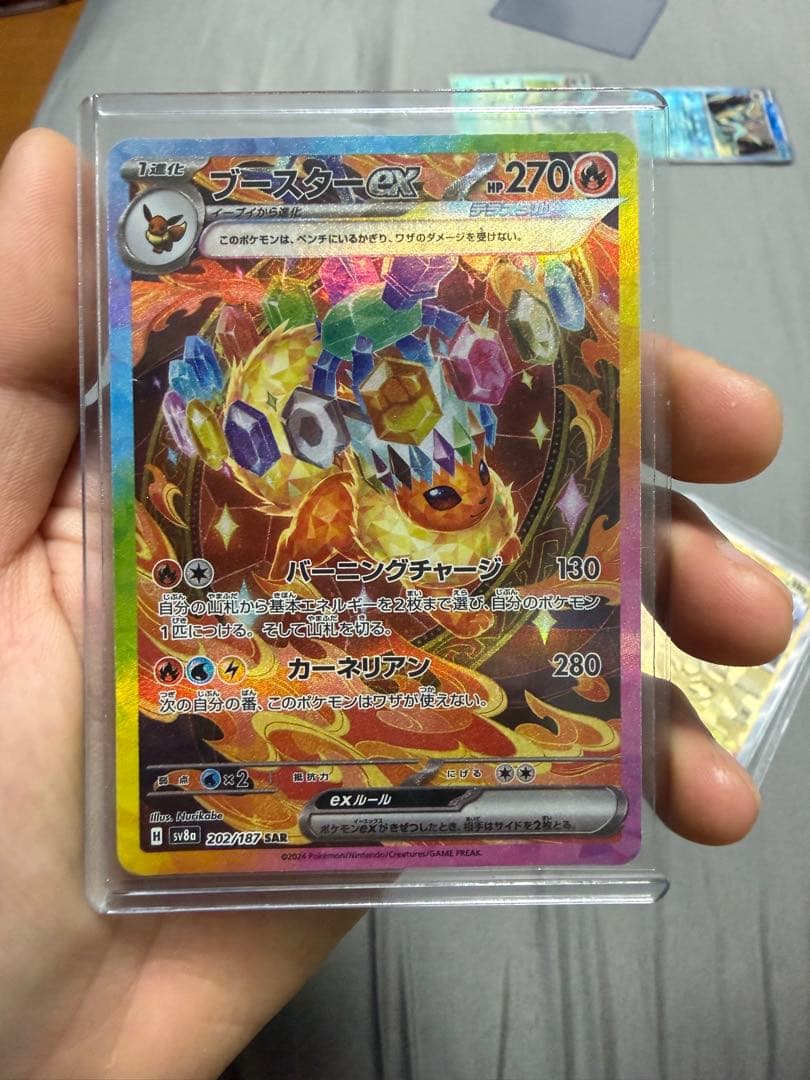 ポケモンカード 14枚セット ブラッキー ニンフィア